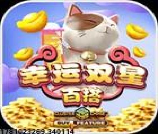 鲨鱼大冒险